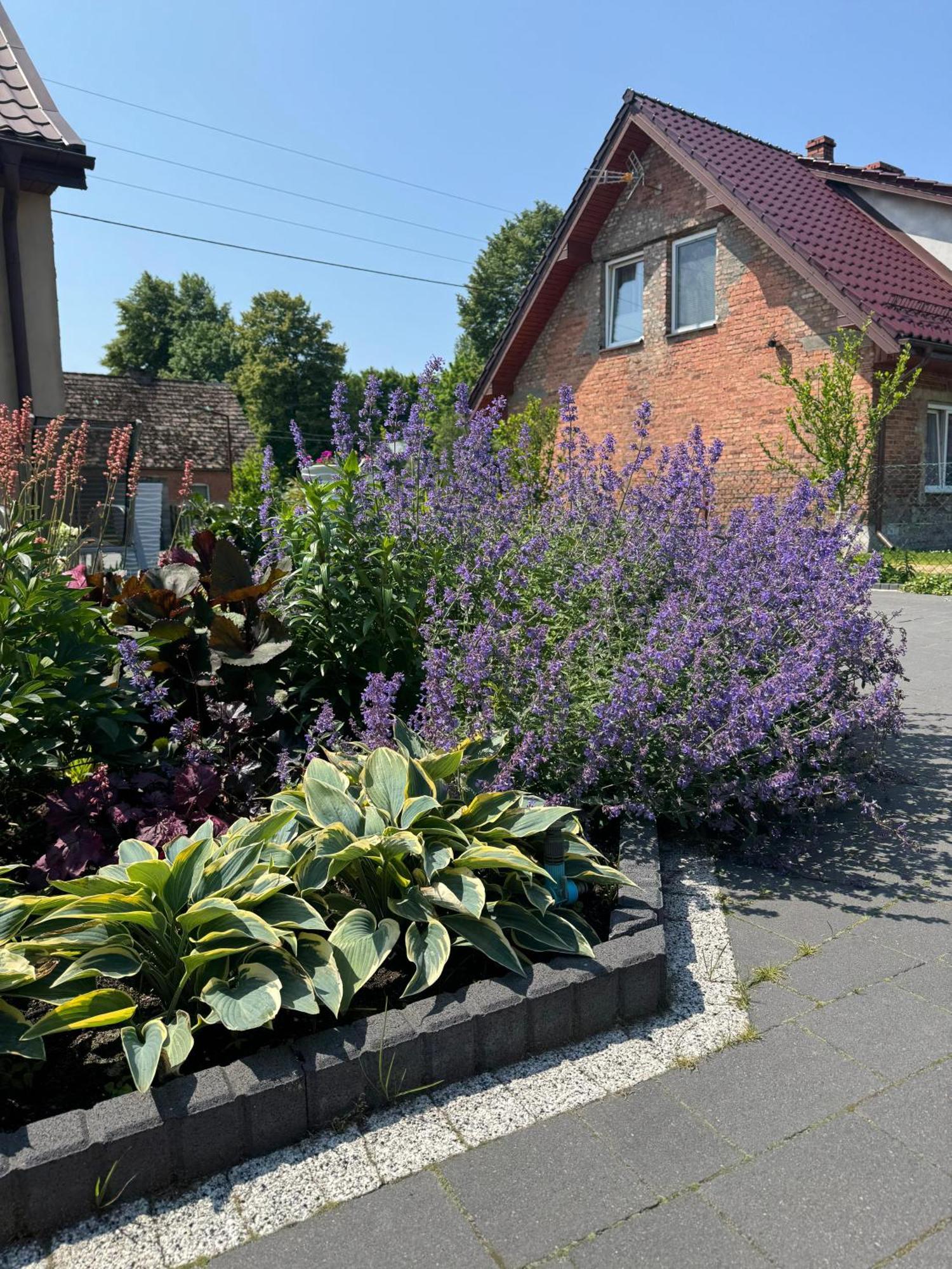 Domki U Piotrusia Zarnowska Exterior foto